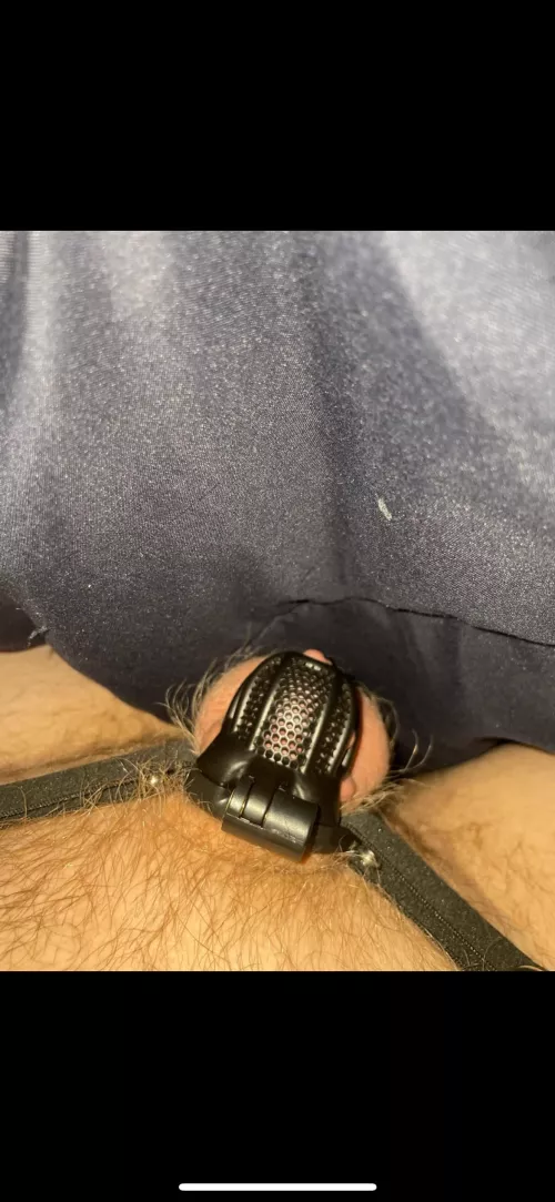 Dose this count as a cock🥺