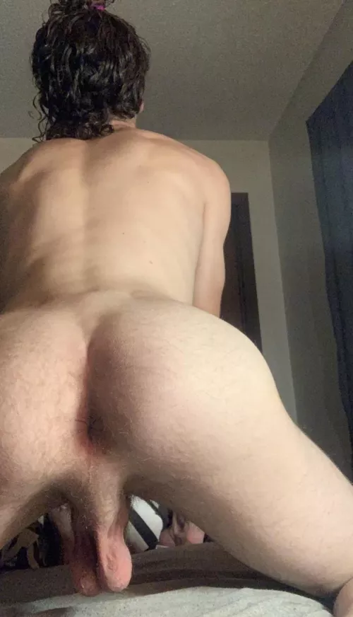 Eat my fuzzy hole 🫡