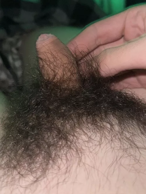 Flaccid after a bender, usually grows to 6’ hard 