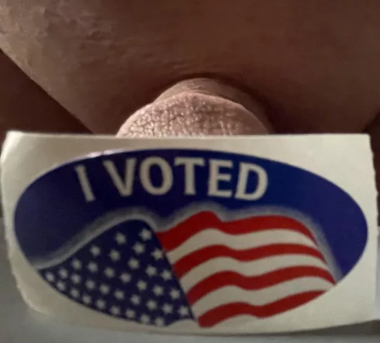 Go out and vote! [WPC]