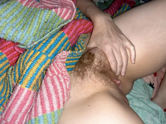 got a hairy pussy mound under my covers 😘 