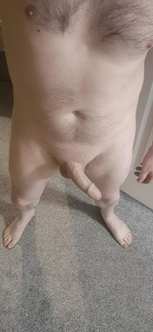 Happy Wednesday folks!