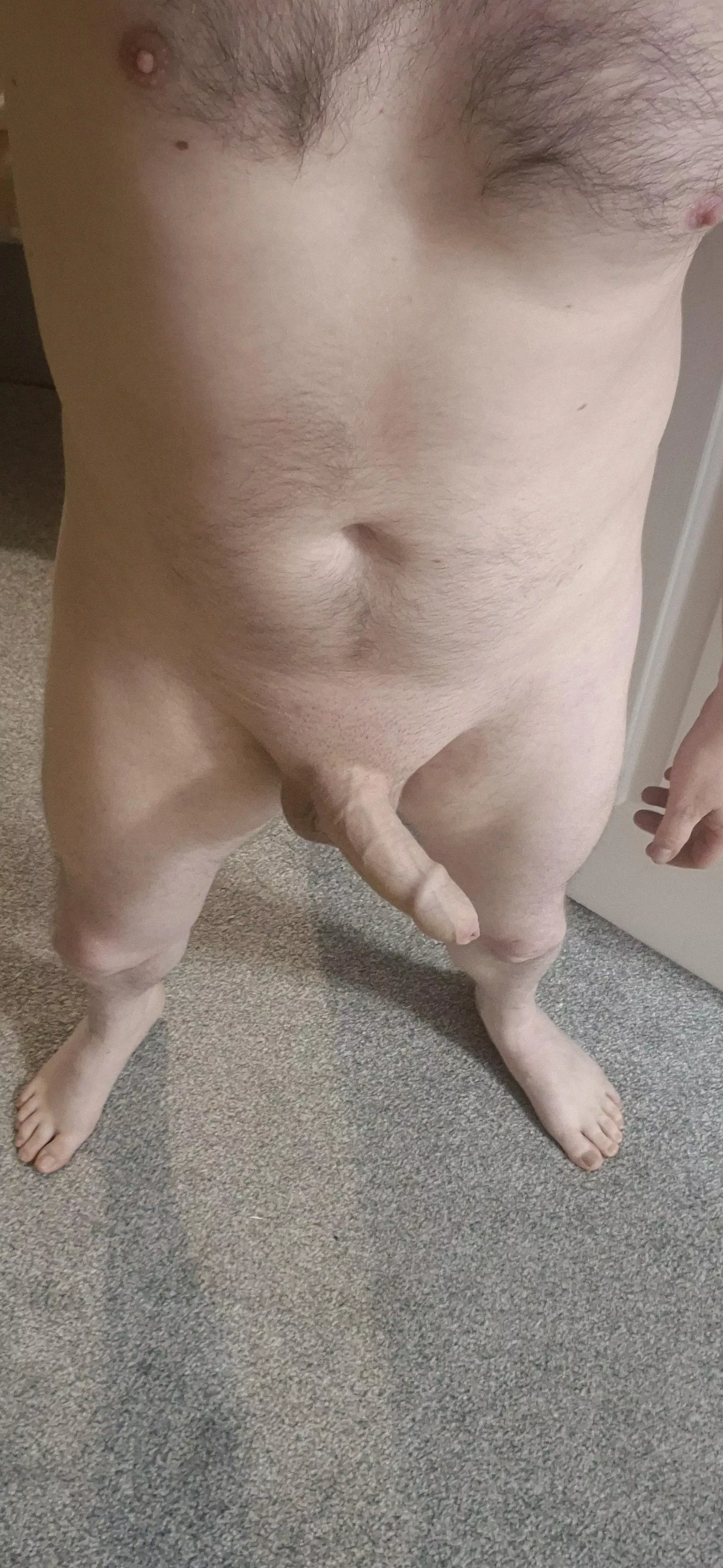 Happy Wednesday folks!