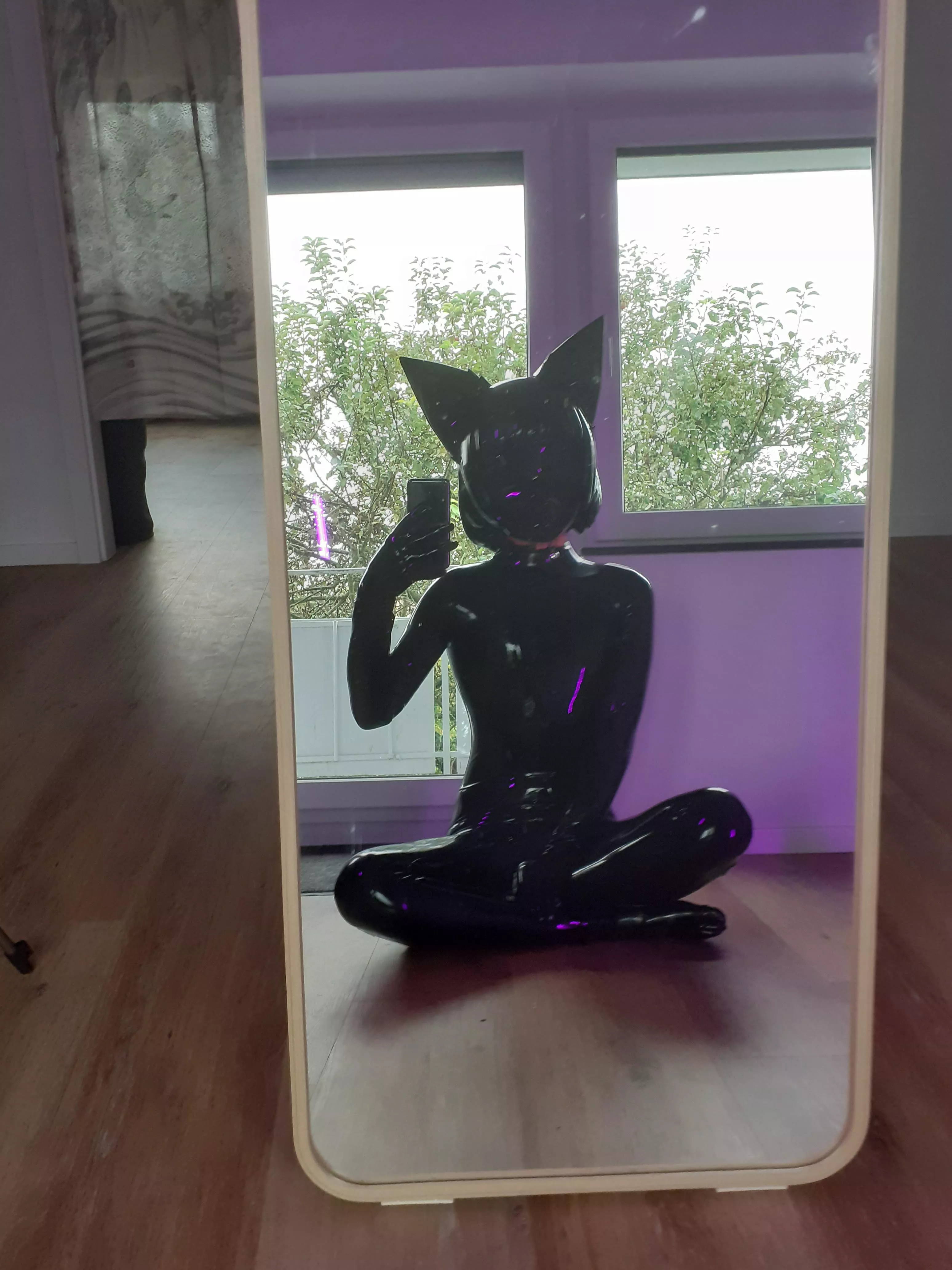 Have a shiny day 🌟