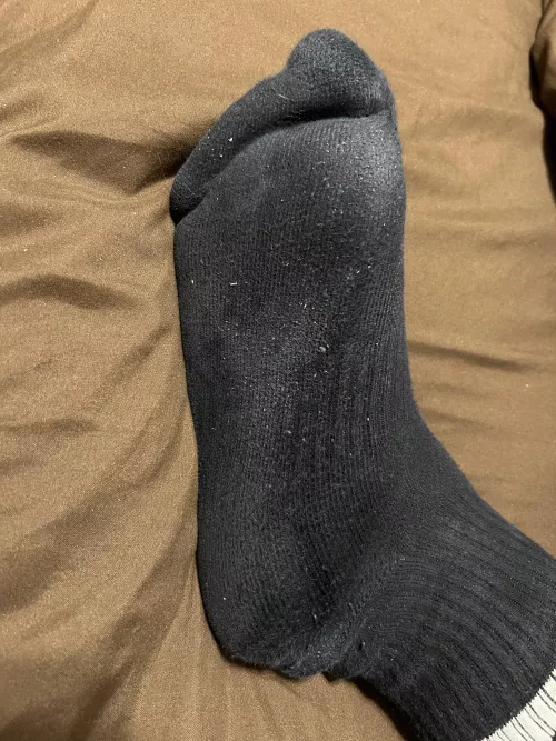 i walked 12,000 steps in day 3 of wearing these socks.. they reek! [F]