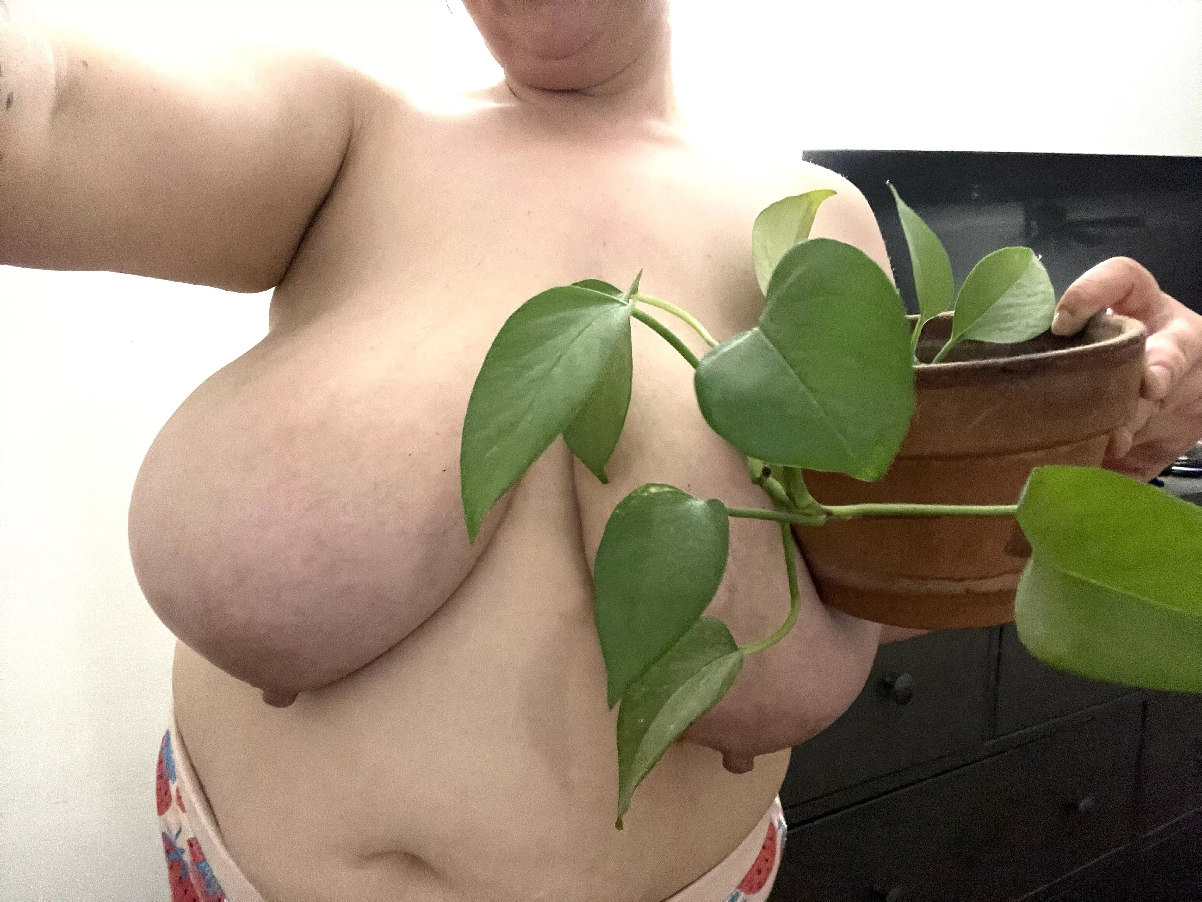 Just me and my favorite plant, pothos!