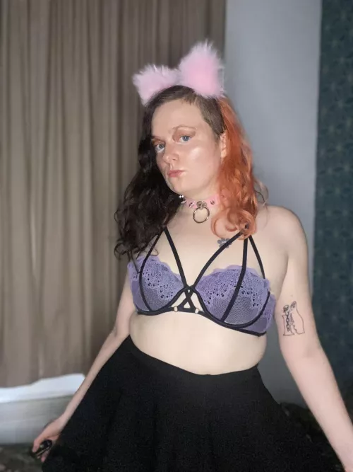 Kitty is ready to play