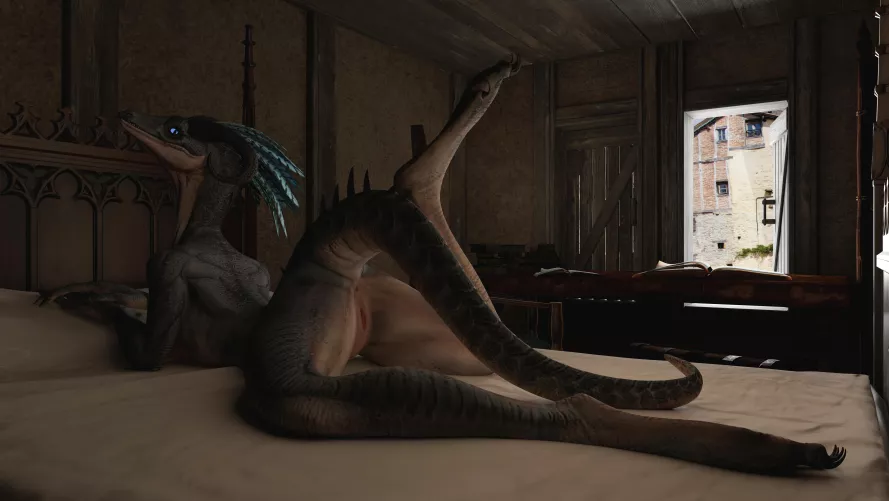 Lingering Looks [F] (AdM)