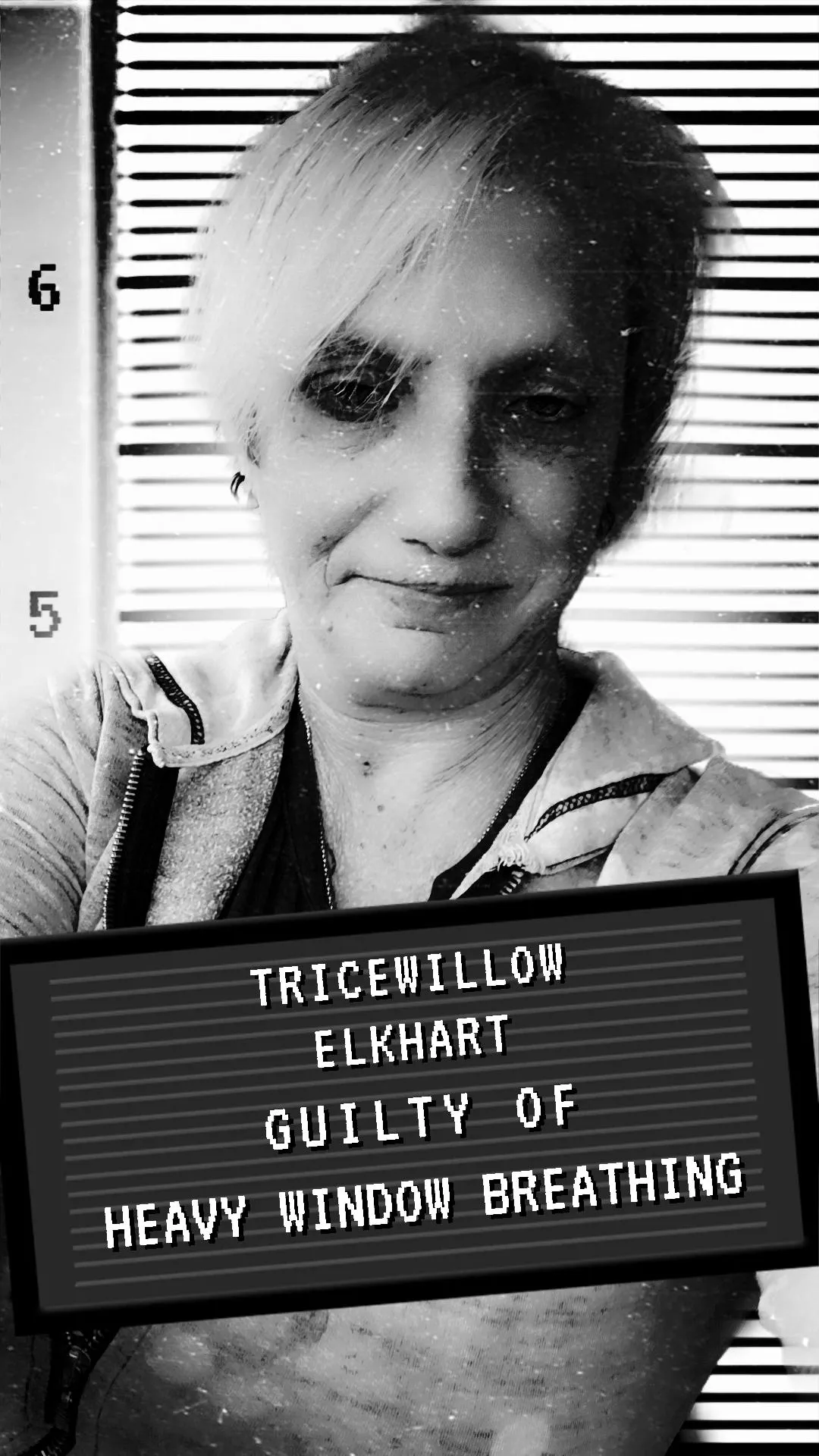 Looking for conversation and mischief 