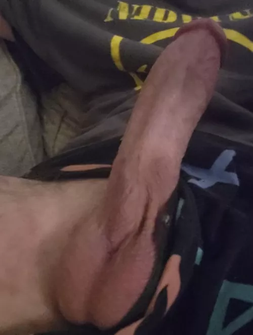 (M) taking desk pet applications(;