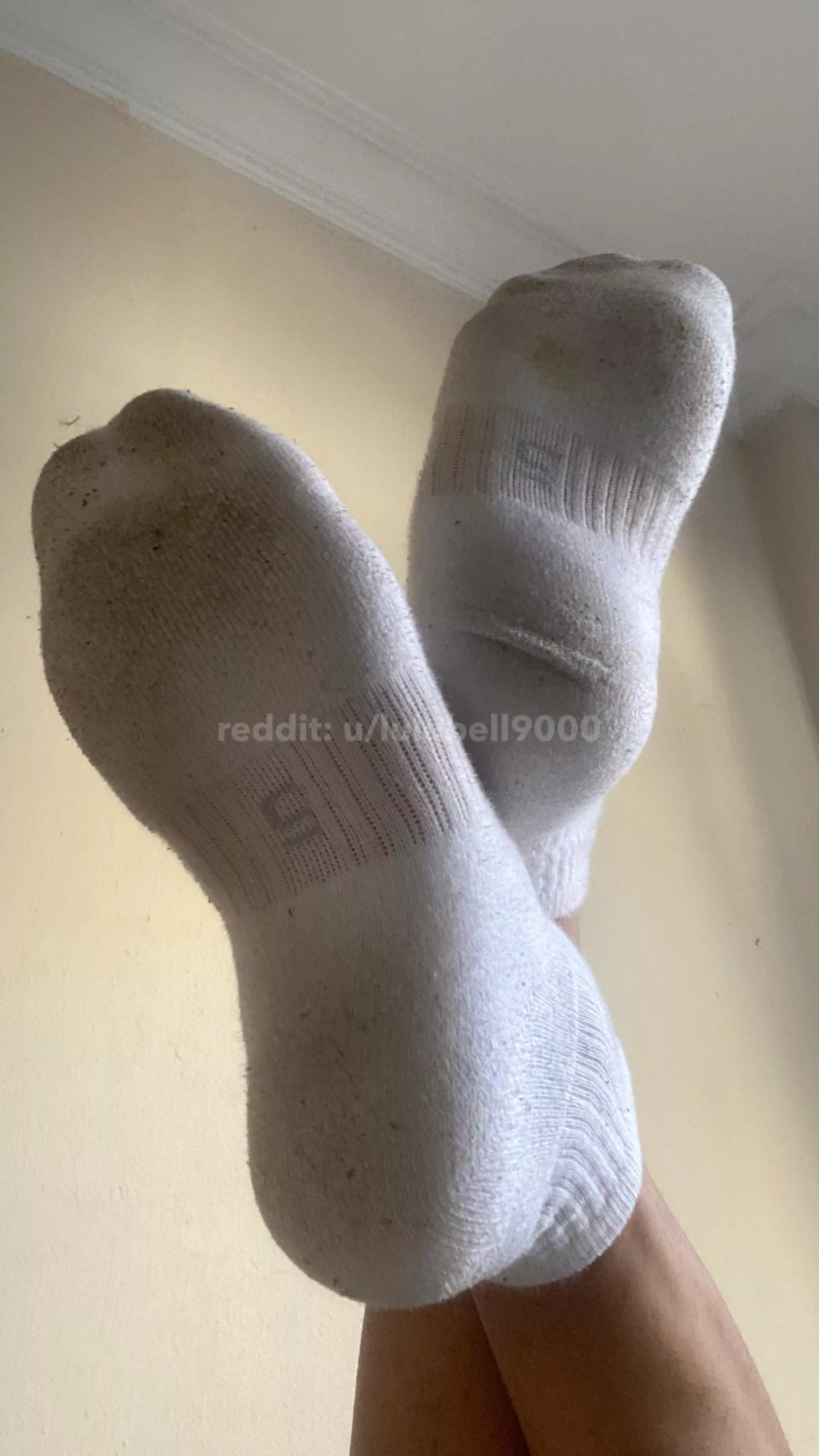 My dirty smelly socks are your favorite kind of perfume~ [TF]
