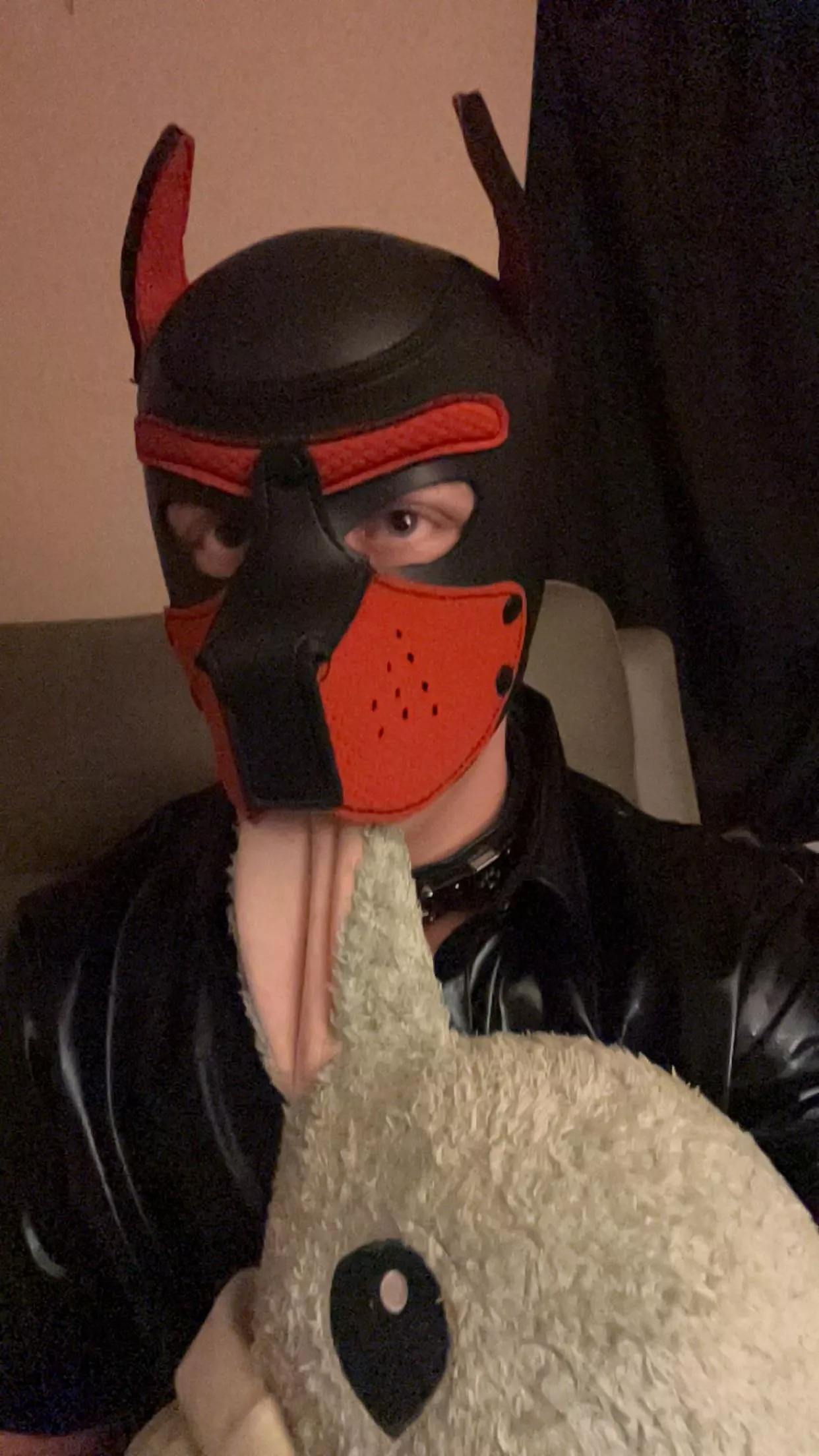 No thoughts tonight just puppy🥴