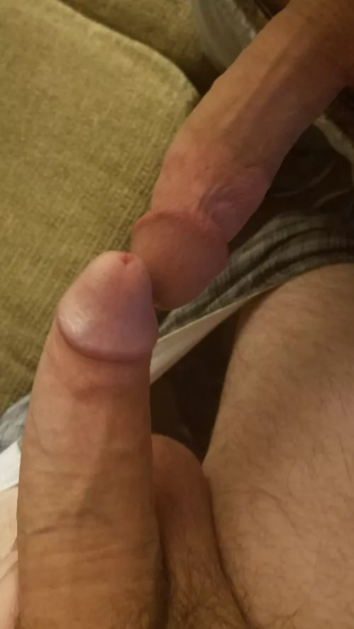 Our cocks when we decide what porn to watch