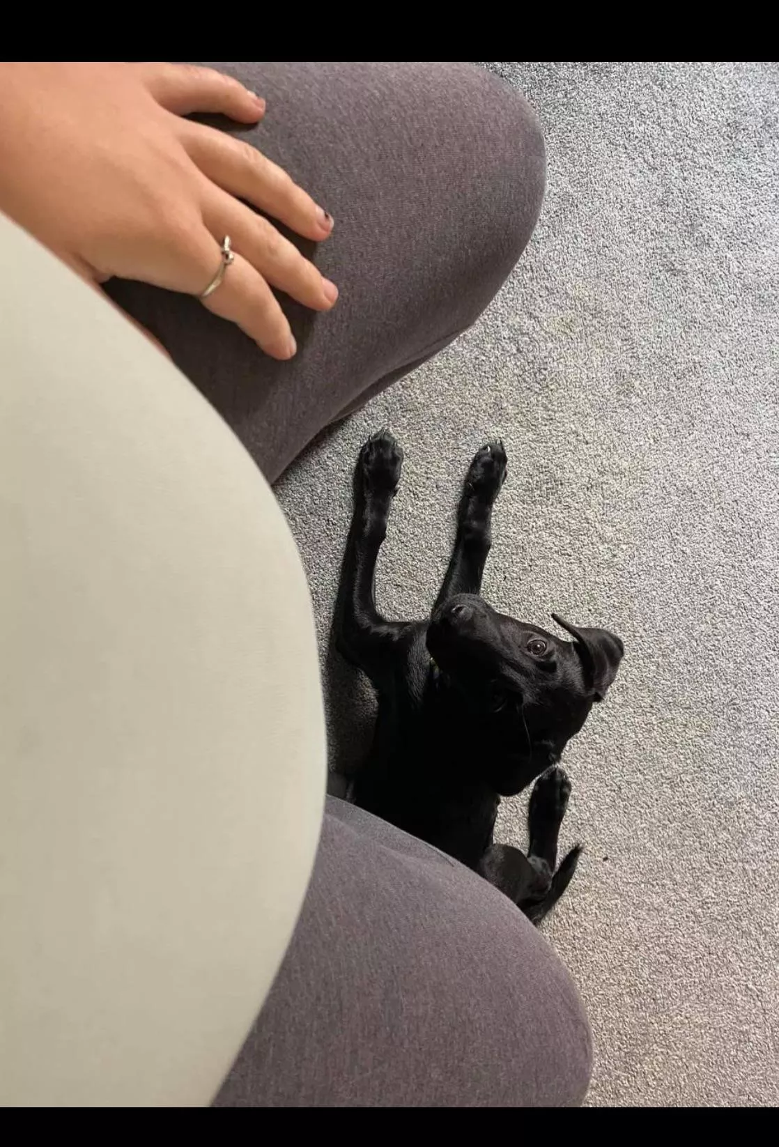 Picture from the other day 🐷