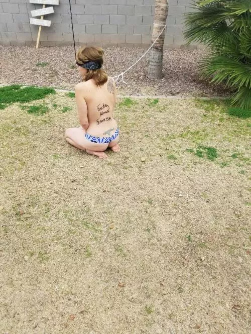 playing with the pet in the yard