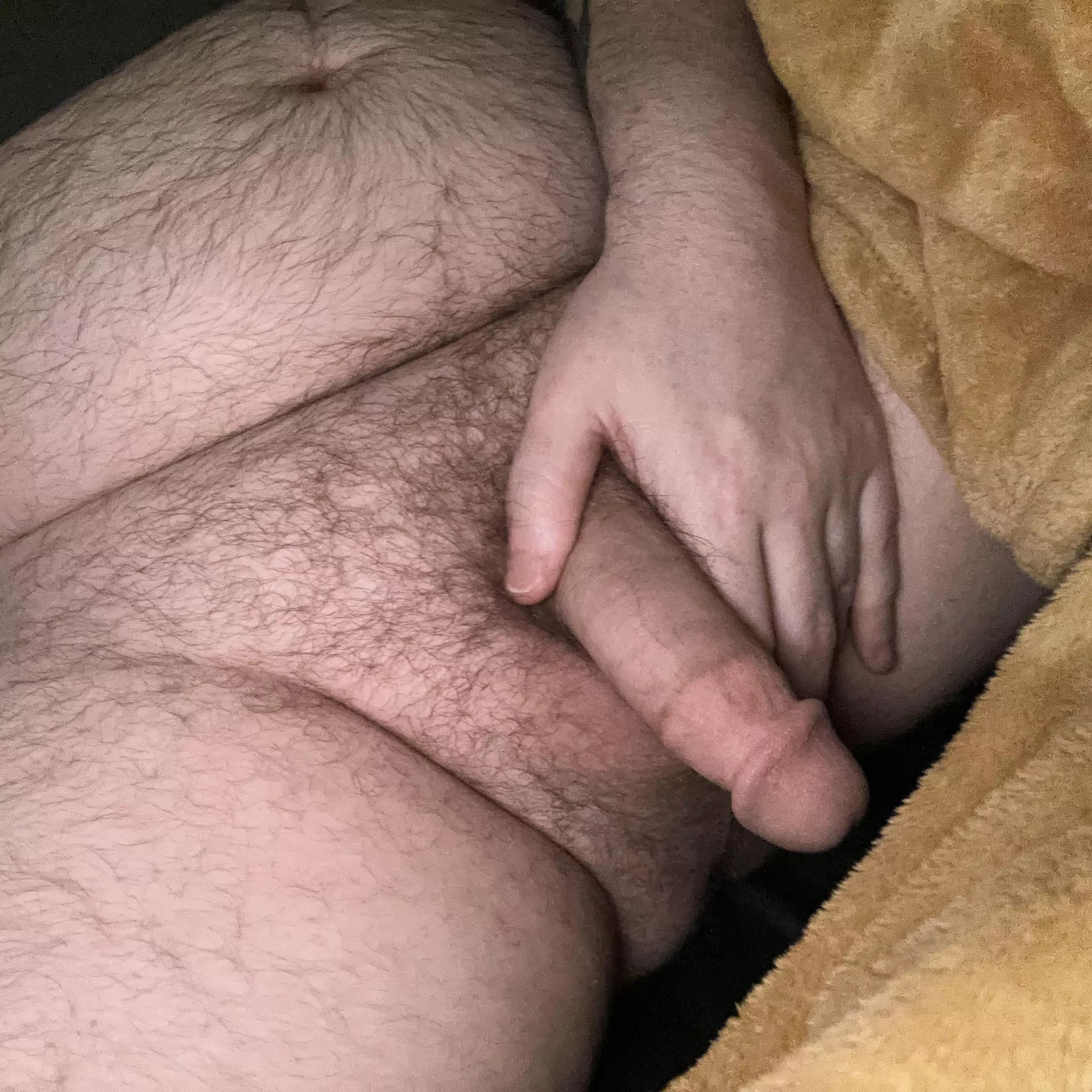 someone told me I have a dad bod 