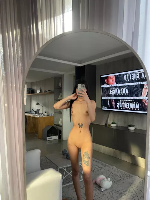 sunlight and a mirror 