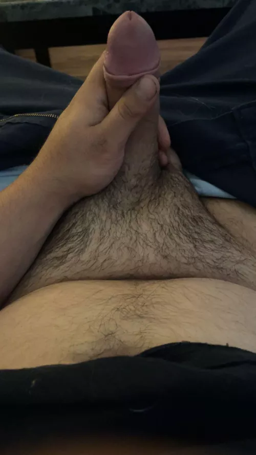 Tell me what you think?