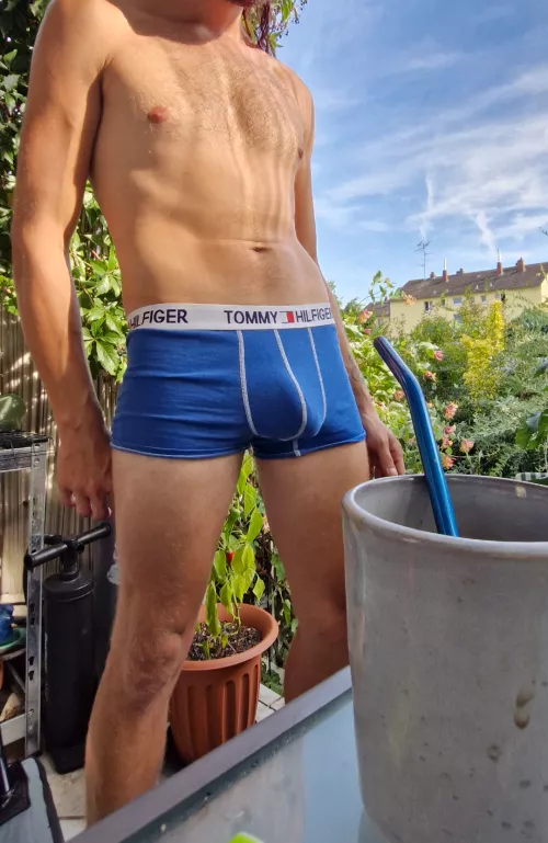The neighbors always staring in our garden... Don't know what I could do to cover that bulge ..