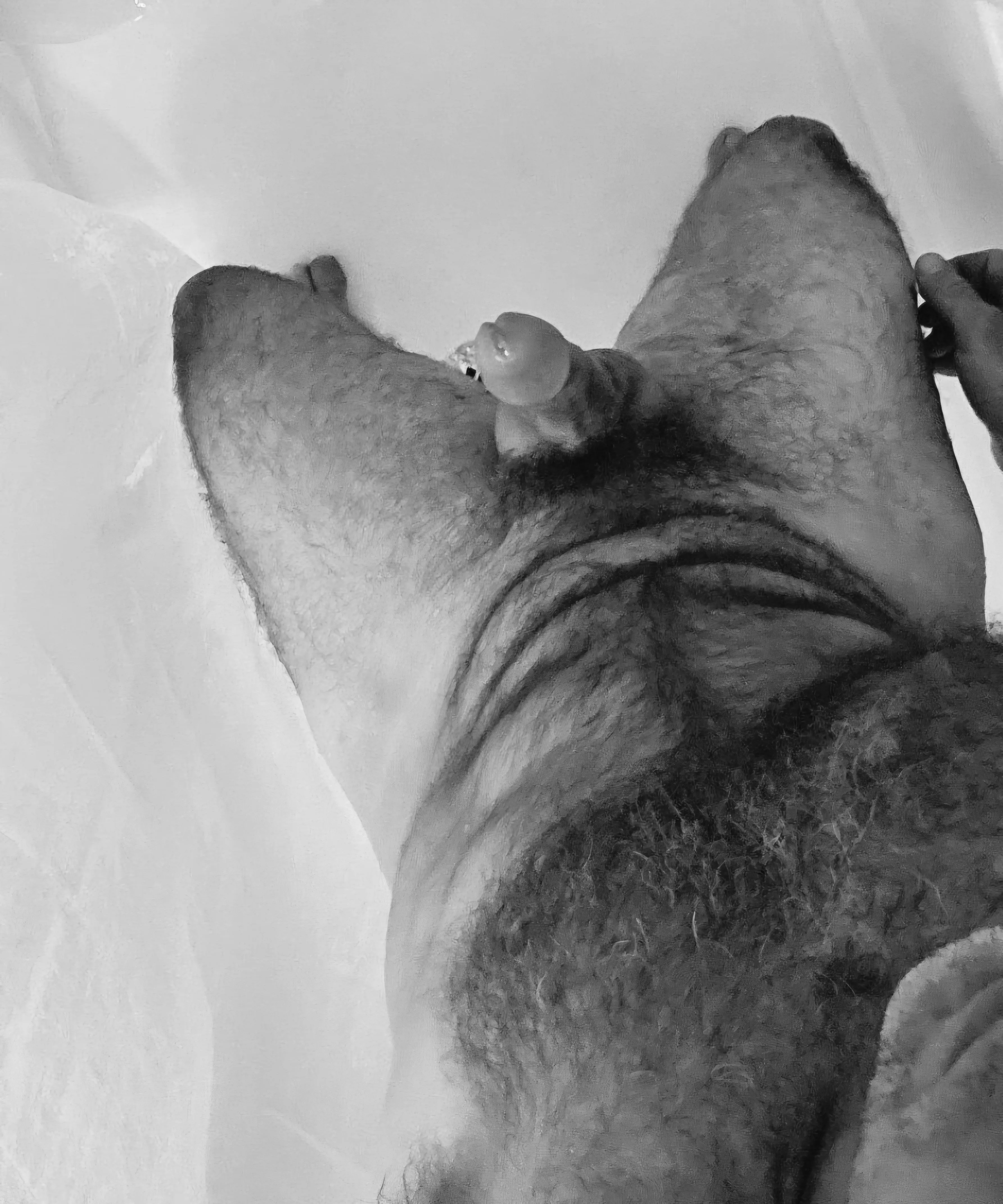 Things are looking up [41]