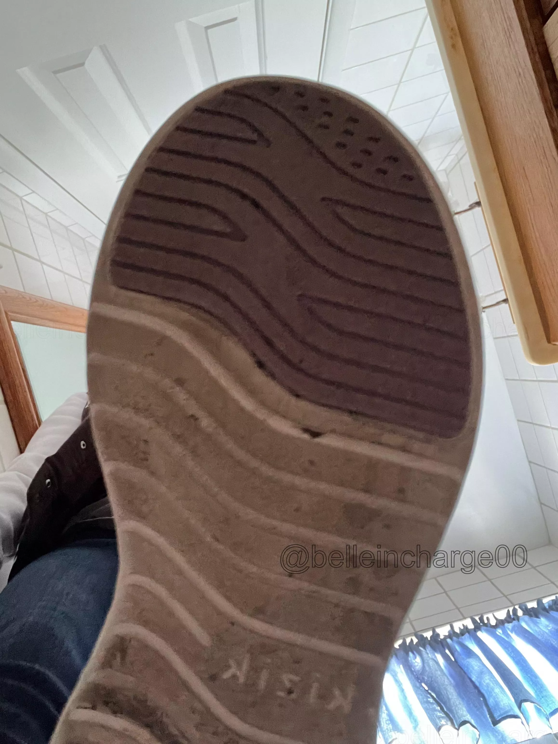 This is all you pigs get. 👑