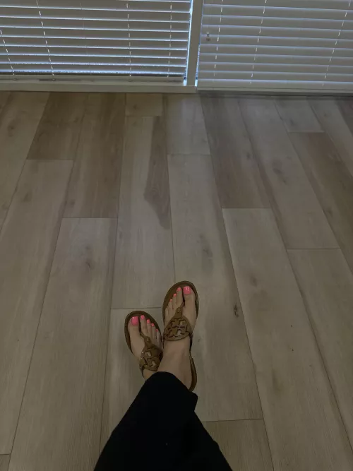 what color looks best in torys? 