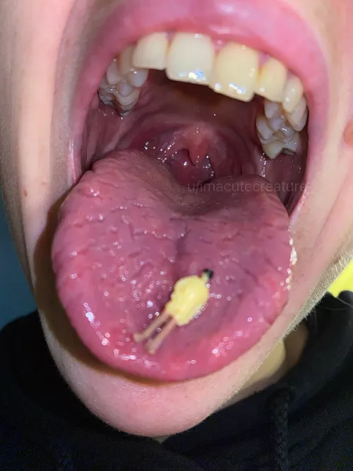 What should I do with you{?}Chew? Or swallow? haha