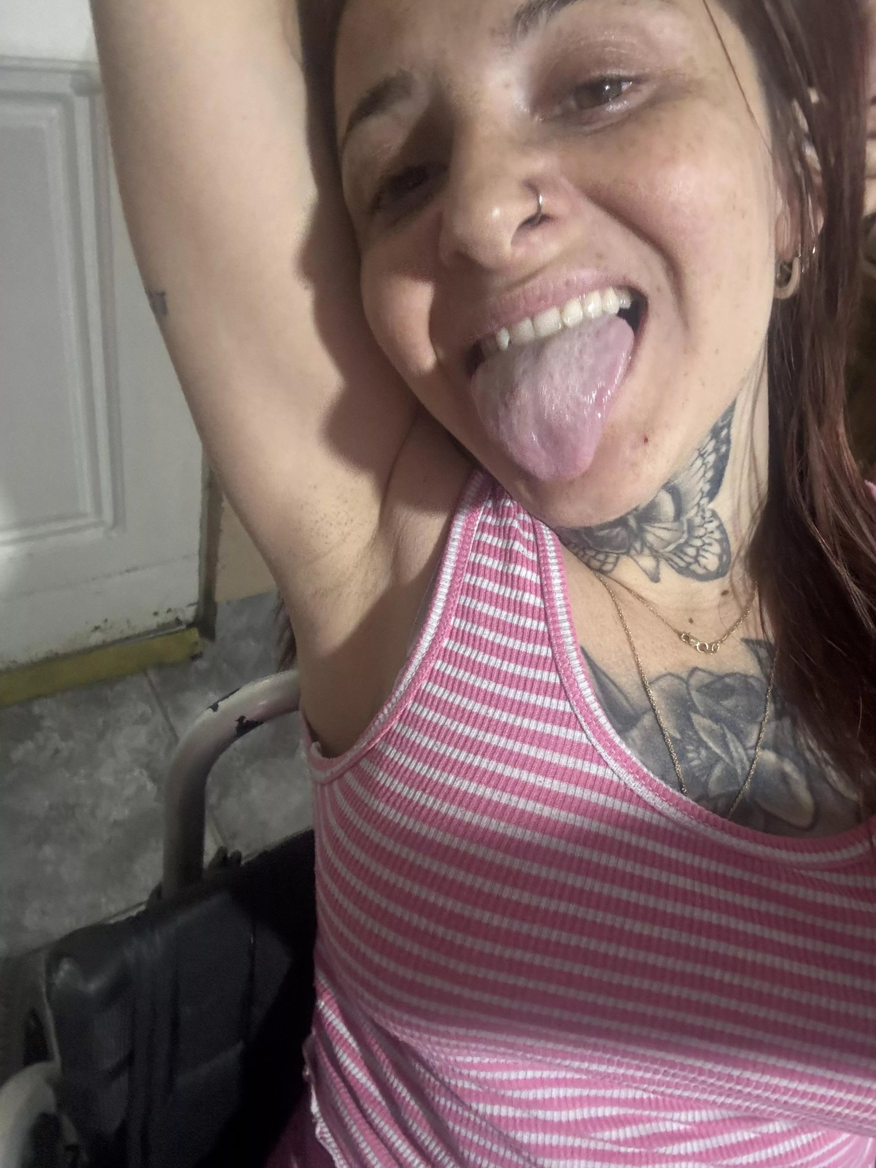 Where you will download 