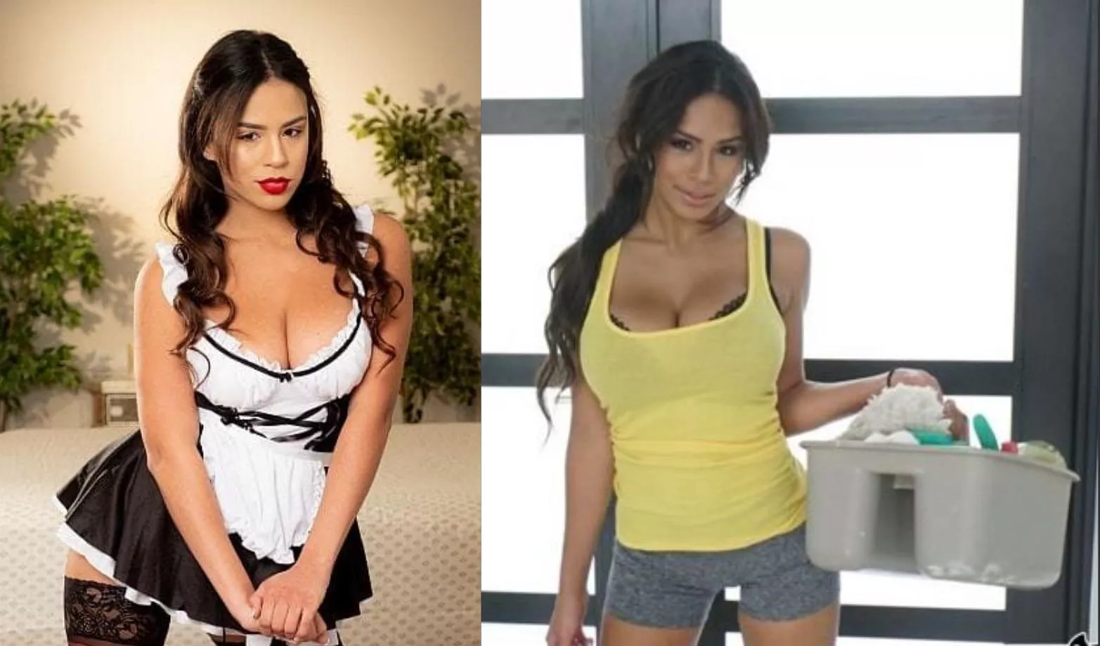 Which Autumn Falls do you prefer to clean your house 