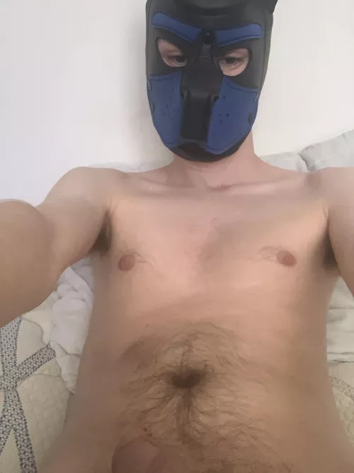 Who doesn’t like a hairy twink pup?