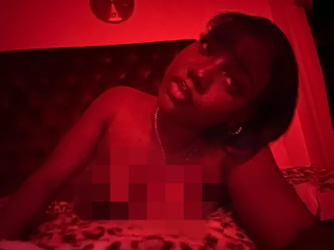 wtf are you staring at