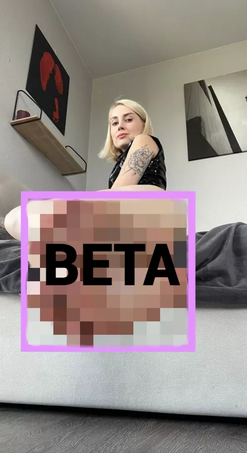 You've been rejected from the beta 🥴