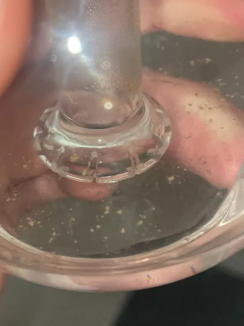 Anyone know what the stuff is floating in the water ?