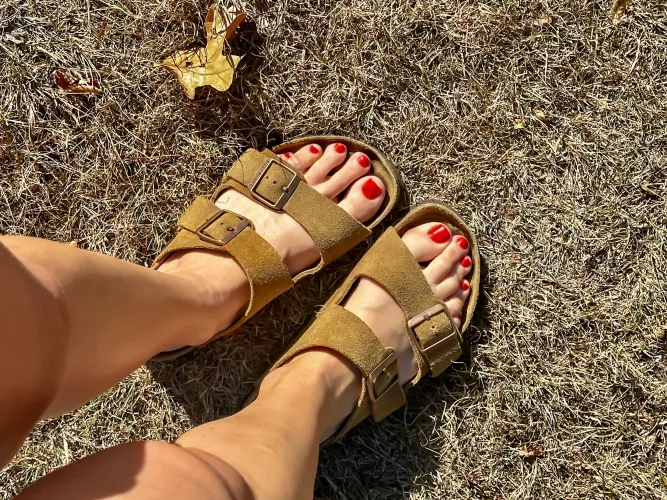 Birks are always in season ;)
