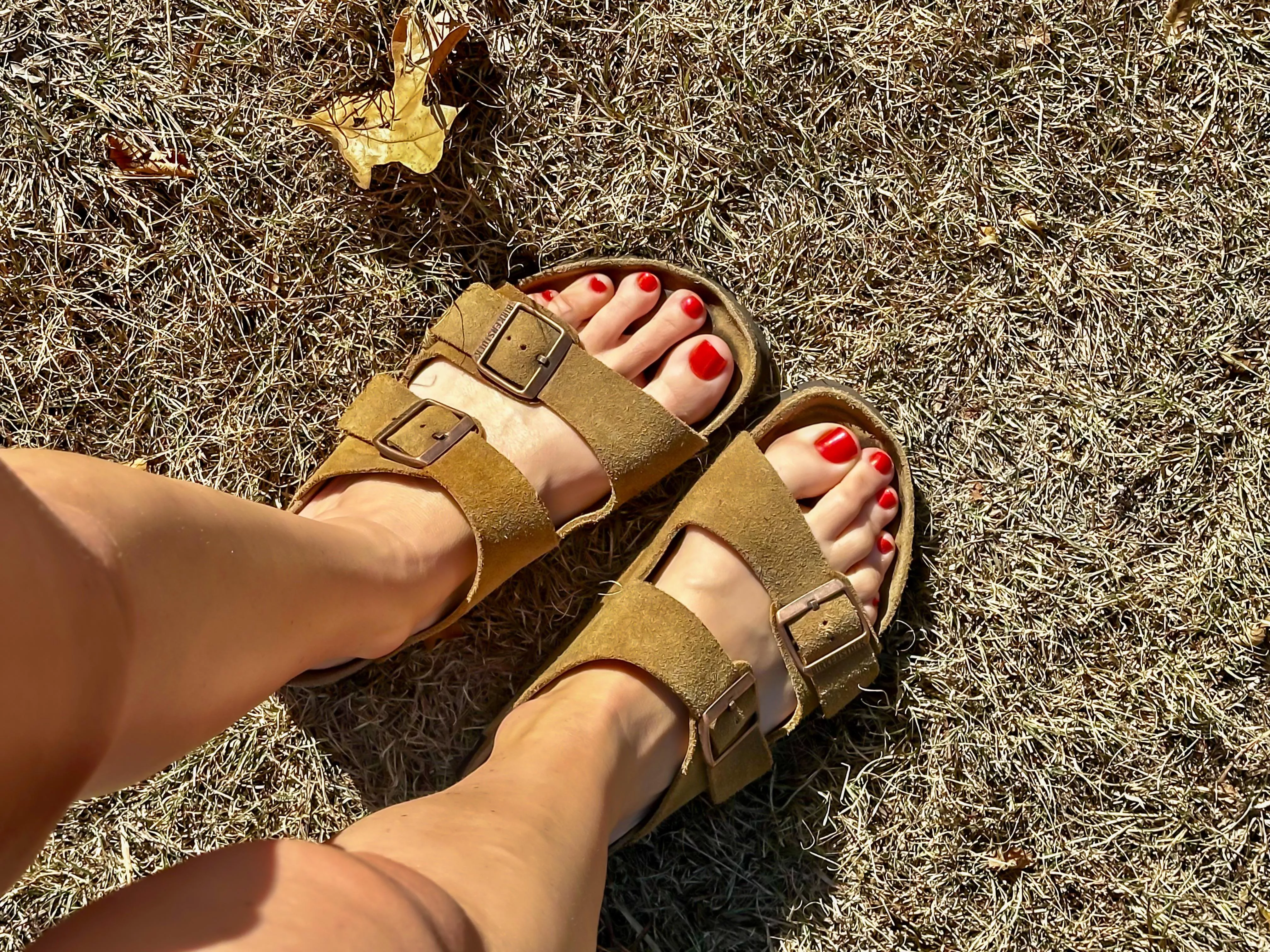 Birks are always in season ;)