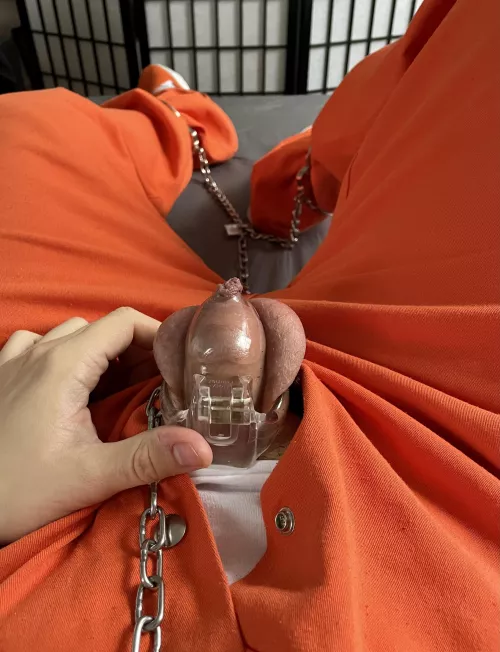 Chains and chastity selfbondage 