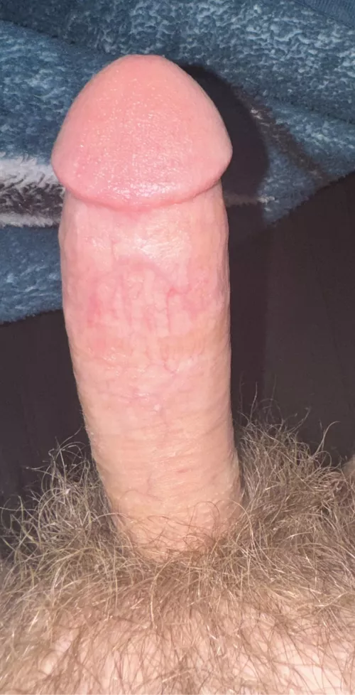 Hollywood/ Miami stud