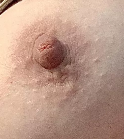 How is this (44) wife and gumdrop?