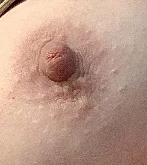 How is this (44) wife and gumdrop?