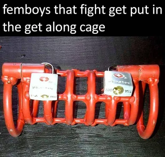 I want to put two men in this cage at the same time.   I might slip them both viagra pills too.  oops.  