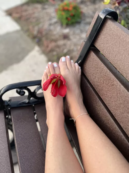 Just a walk in the park. 