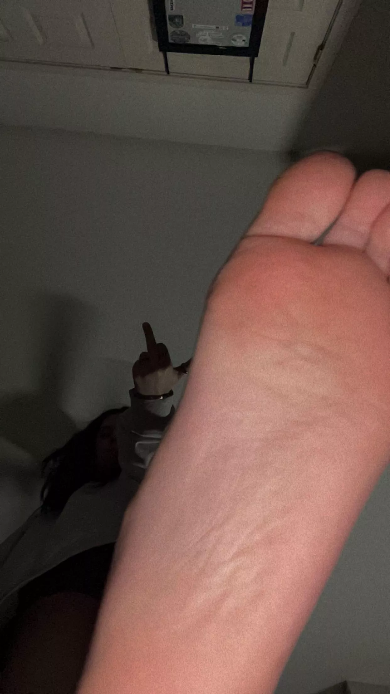 lick them clean and thank me for allowing you to do so