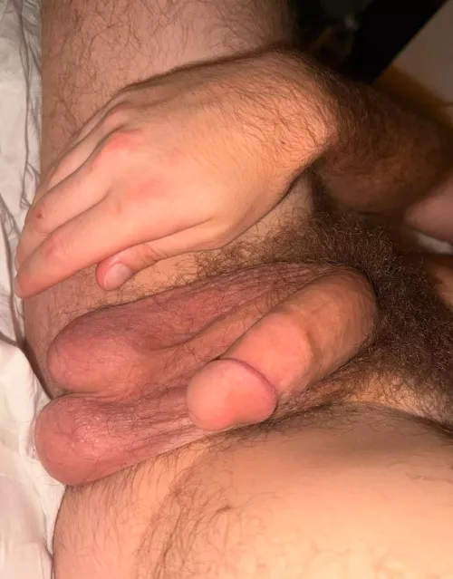 My Softie and low hanging balls 