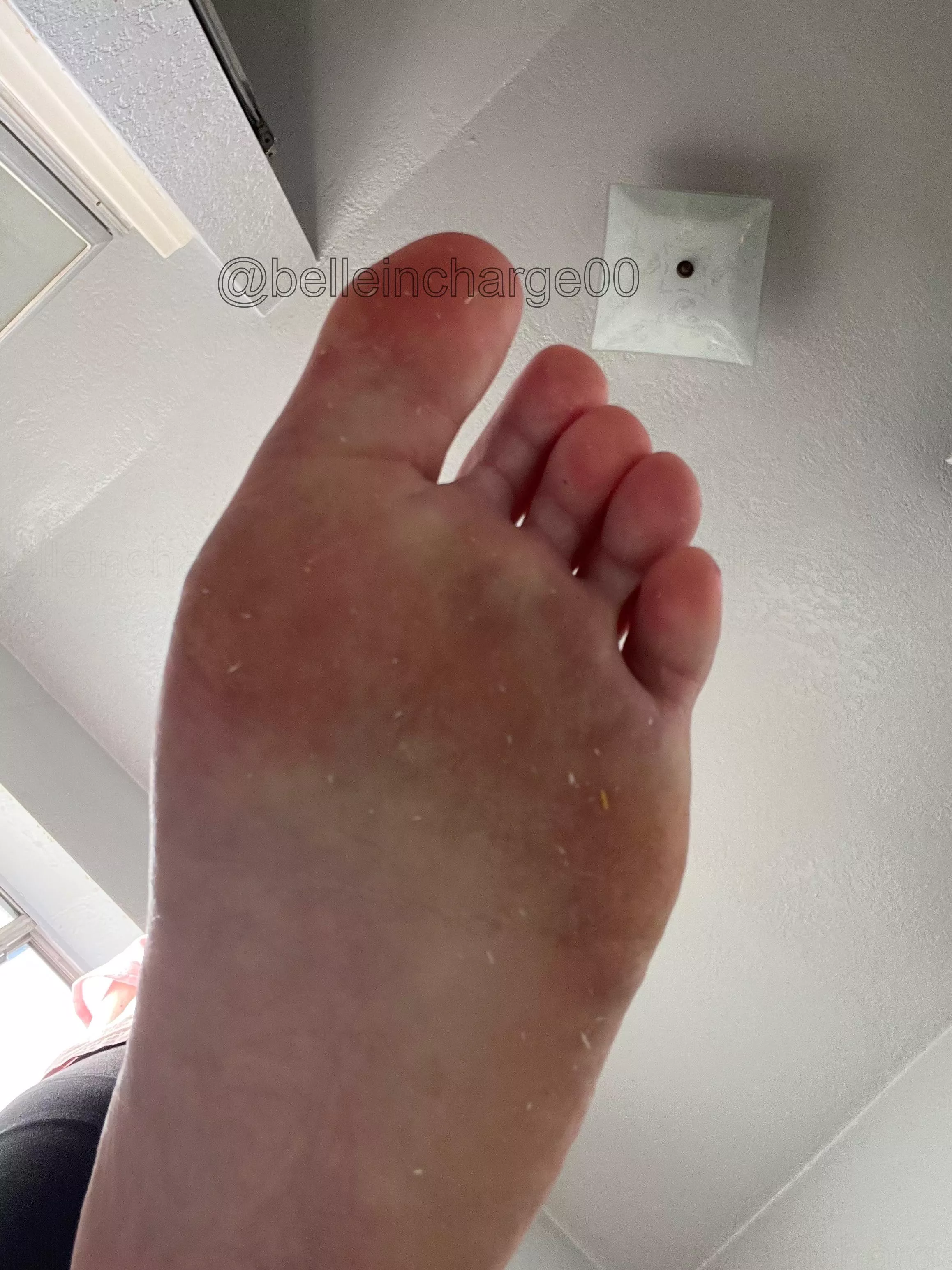 Oh you like the bottom of my foot? 👑🤭