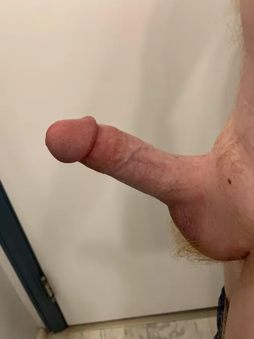 Watching trans porn online got me wanting a jerk buddy and a mouth.  Im so hard