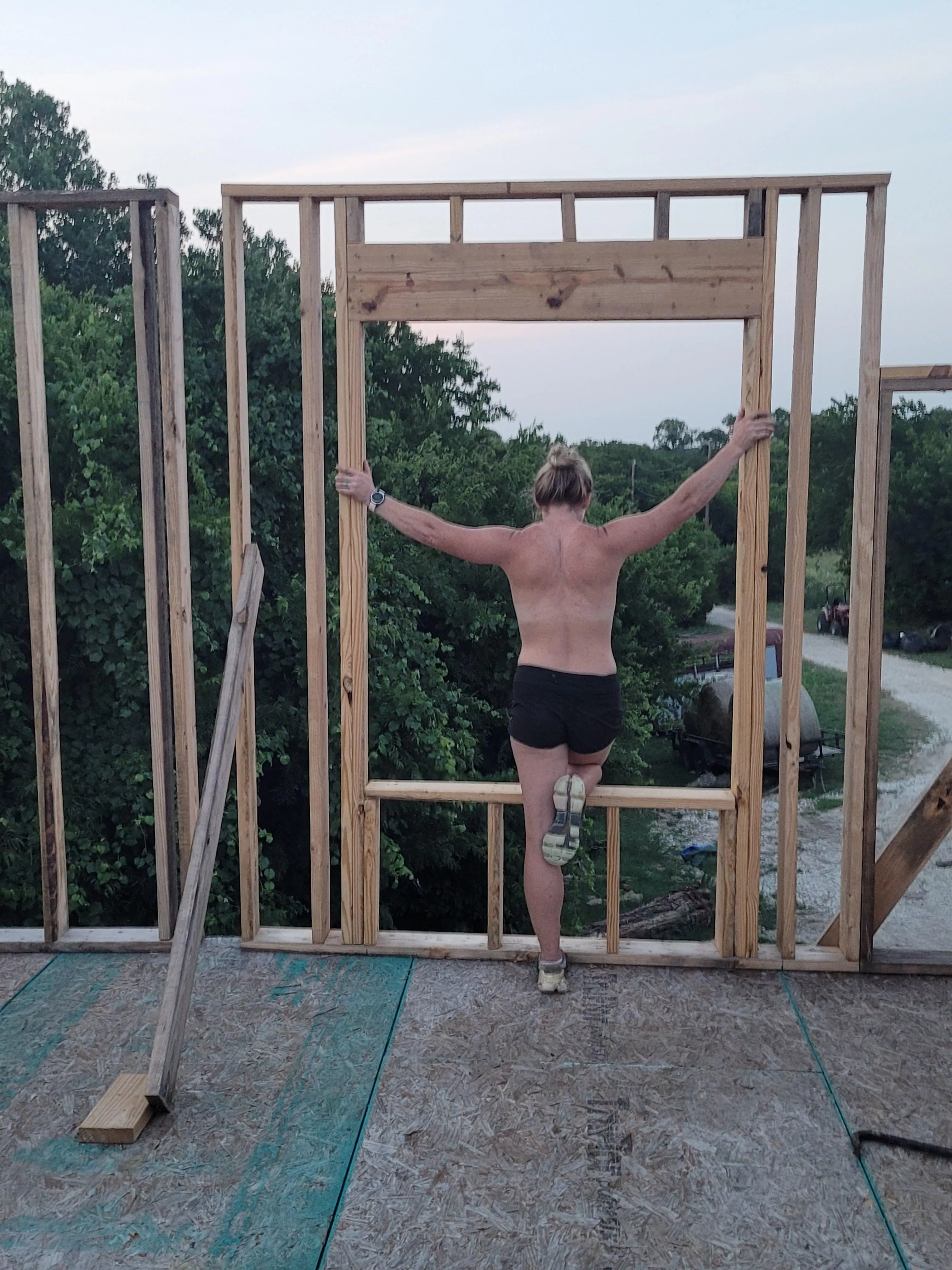 Windows are going up