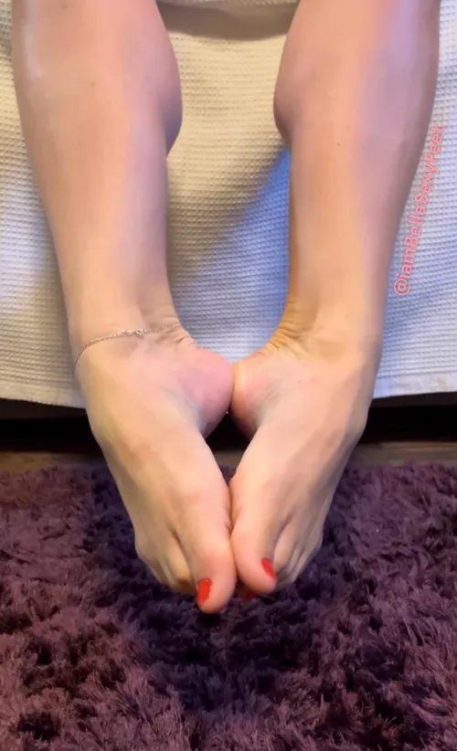 Would it fit in here?