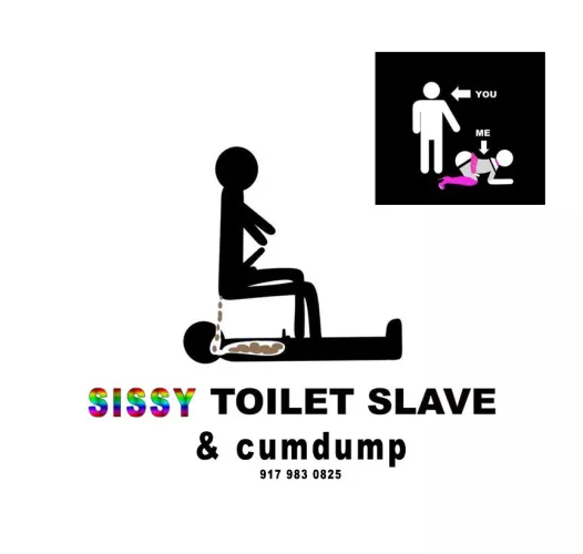 Any Alpha Men need a sissy toilet?
