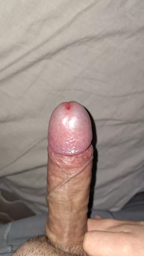 Buenas noches gente [m]