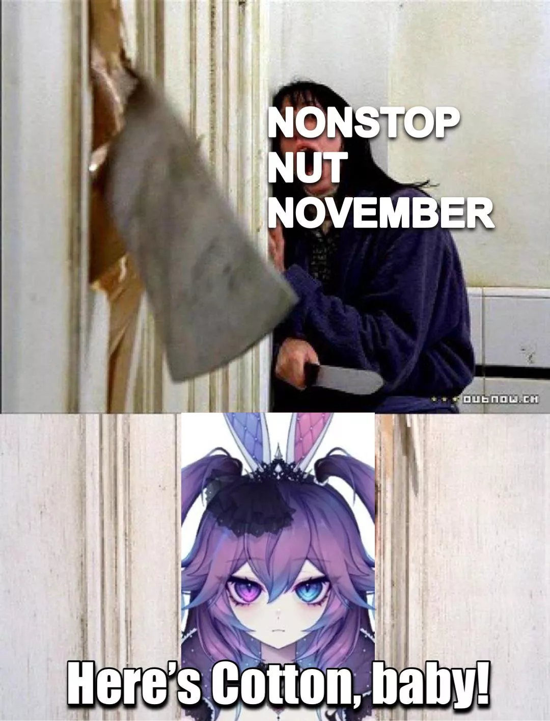 Cotton be wildin’ this November, ladies and gentlemen 